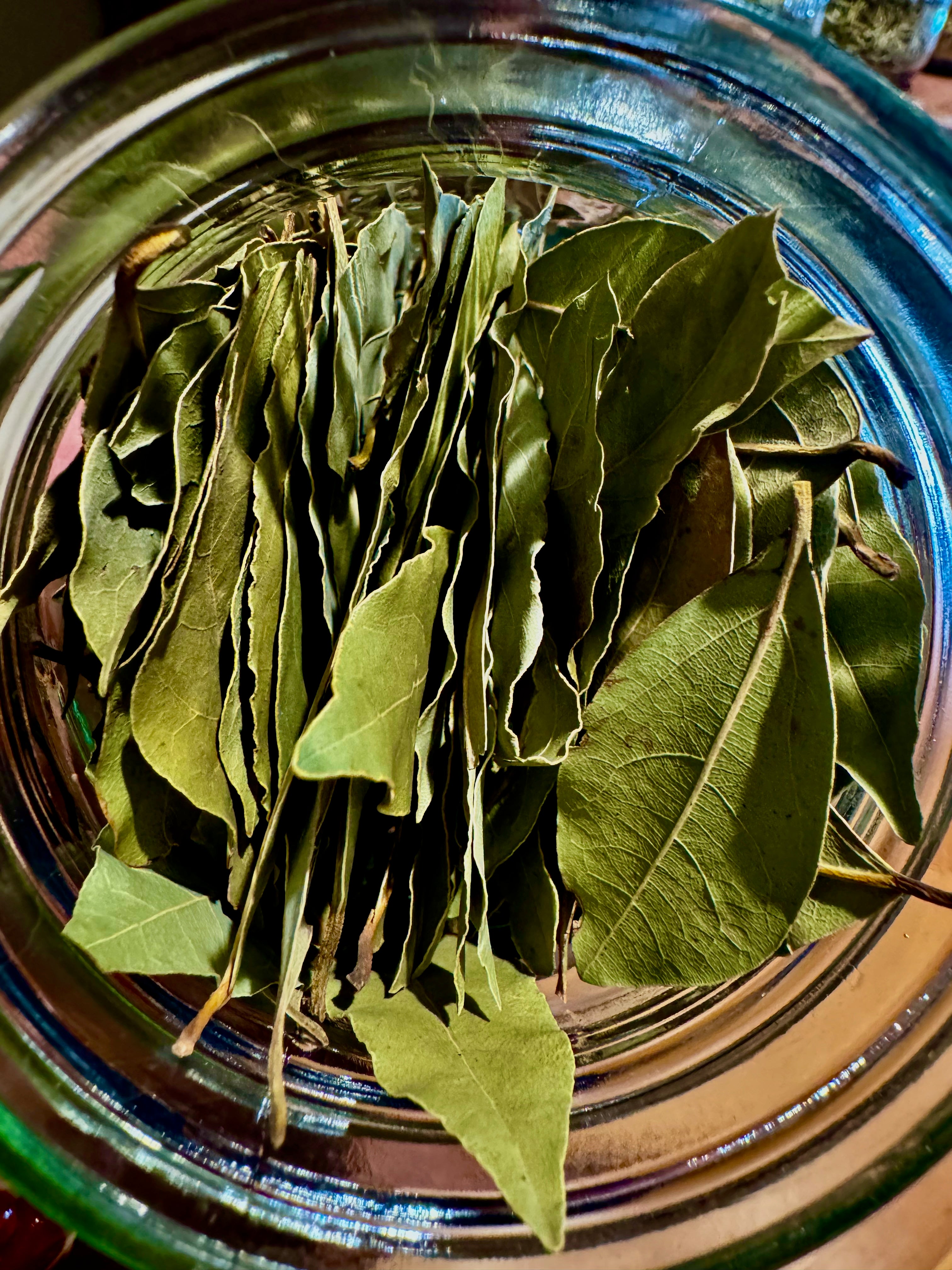 Kama Loka Herbal Apothecary Bay Leaf