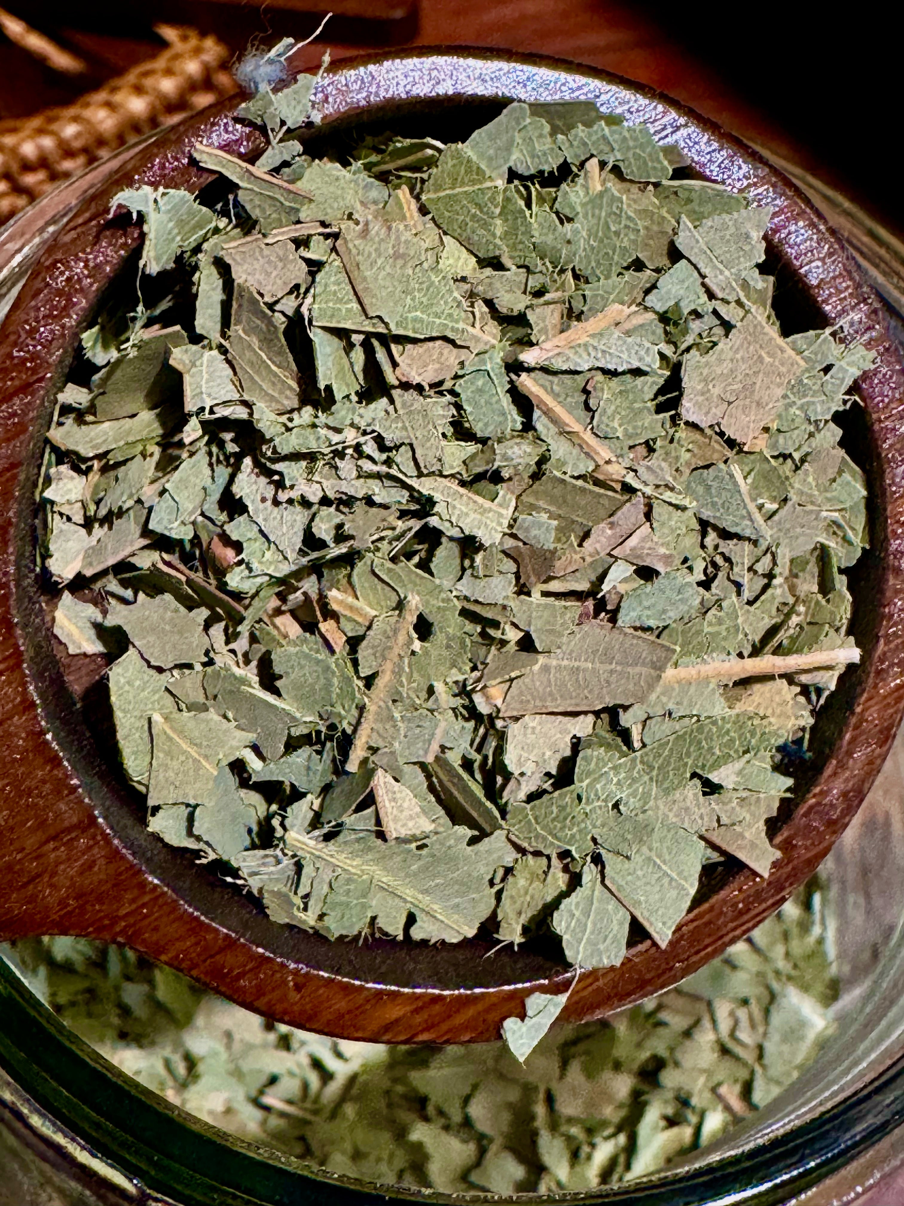 Kama Loka Herbal Apothecary Eucalyptus Leaf