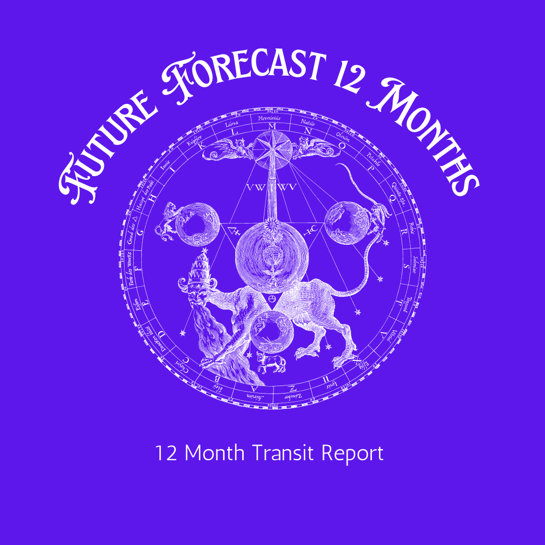 12 Month Digital Future Forecast Report from Kama Loka Astrology