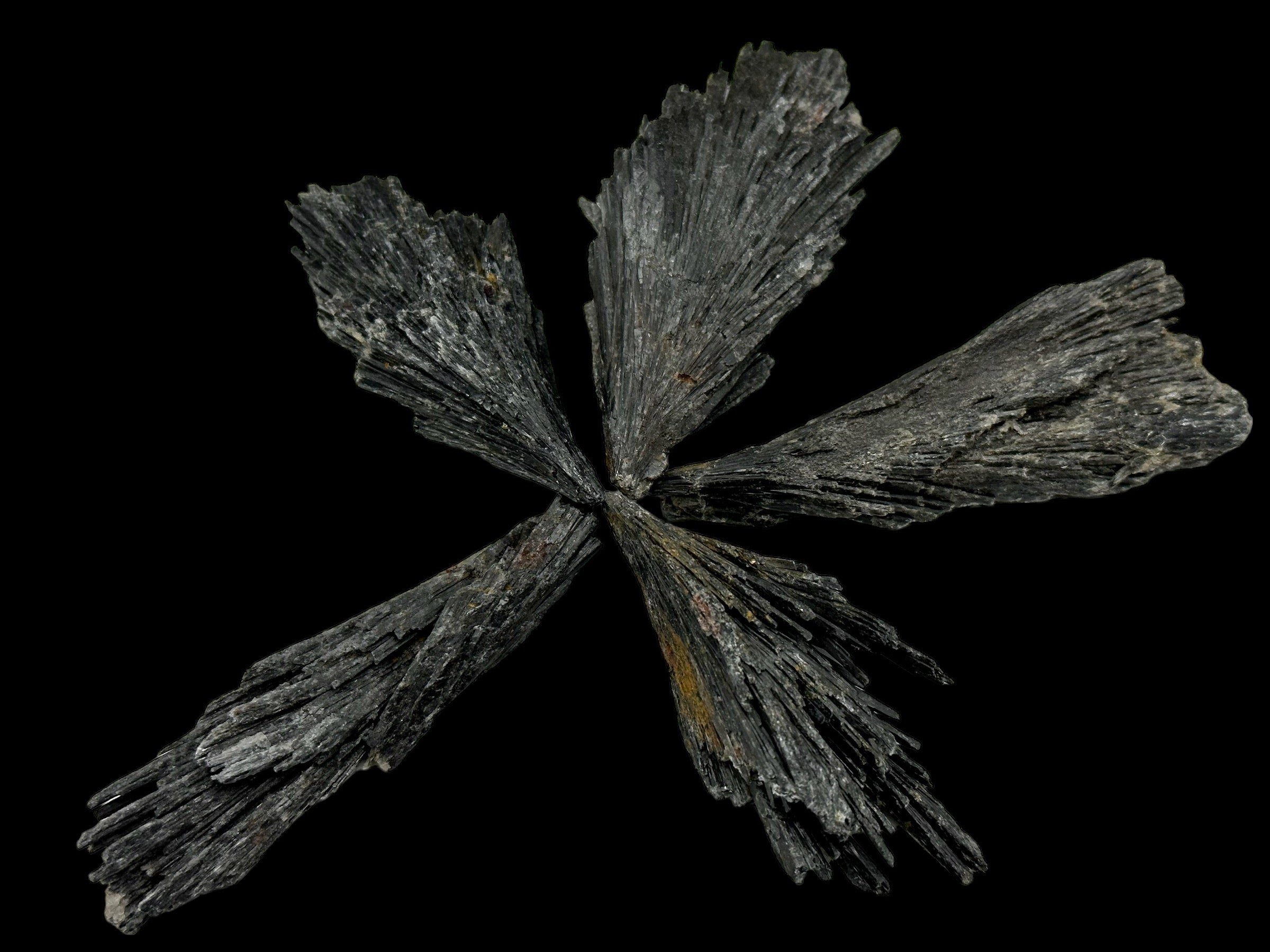 Black Kyanite