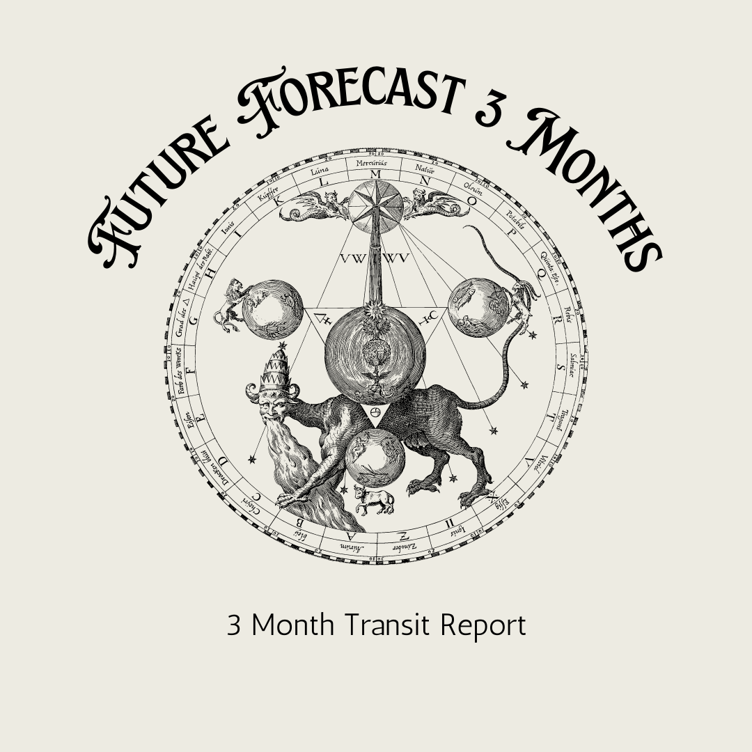 Future Forecast: 3 Month Transit Report